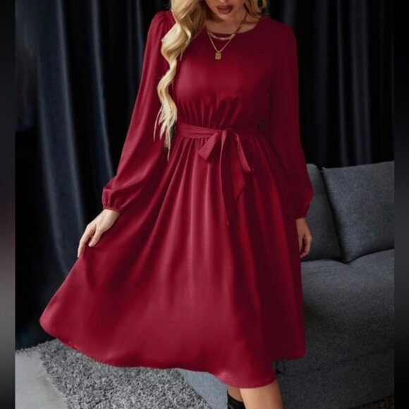 Luxe lantern sleeve belted dress - Picture 8 of 15